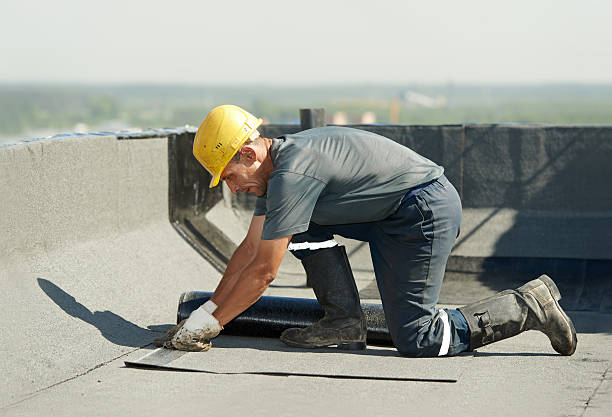 Best Insulation Installation Services in Shelton, WA